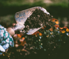 Building your Garden